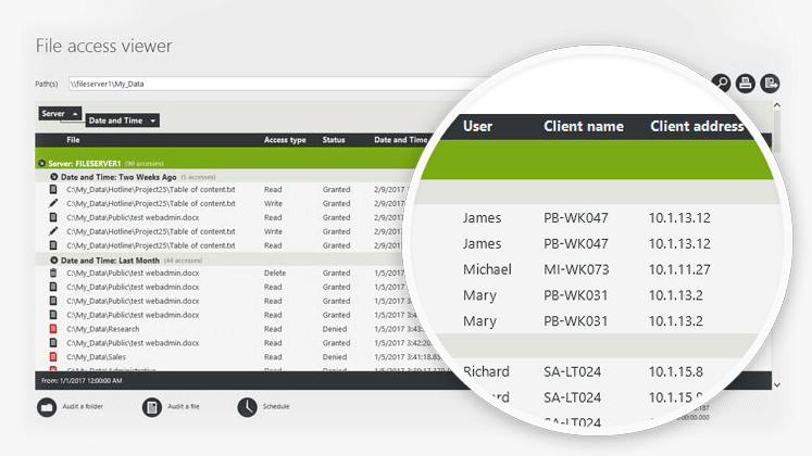 file-access-viewer