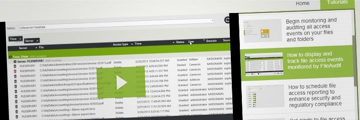 install-file-system-auditing-software