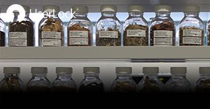 【香水・化粧品】ビオランデス社